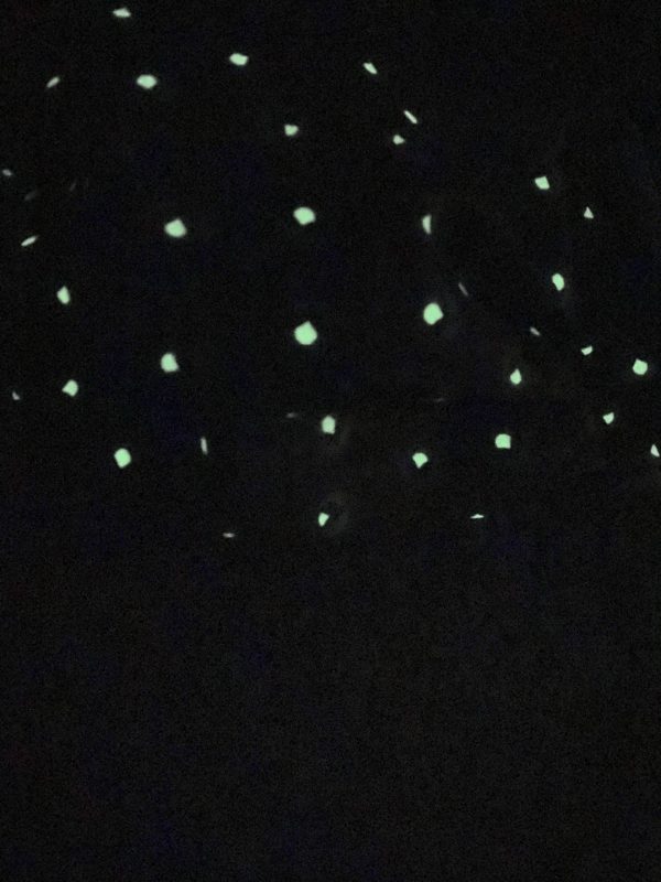 Glow in the Dark Firefly Face Mask - A firefly themed face mask that glows in the dark. #Fireflies