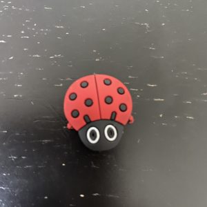 Ladybug Magnet - a cute ladybug on a magnet. #Ladybug