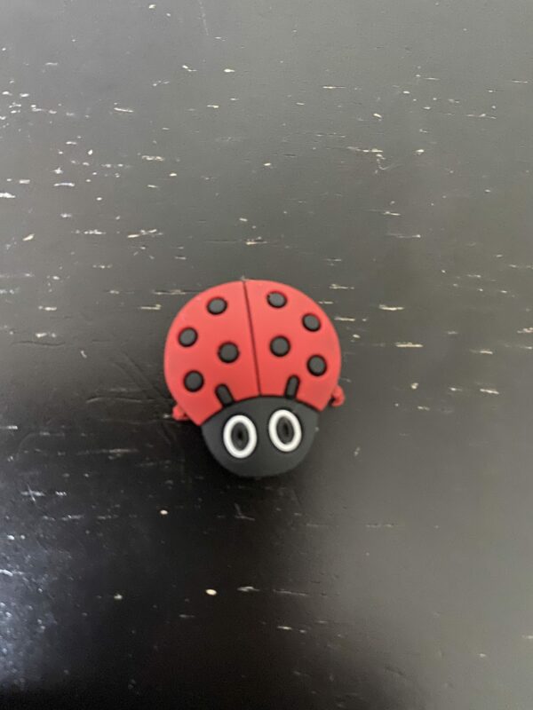 Ladybug Magnet - a cute ladybug on a magnet. #Ladybug