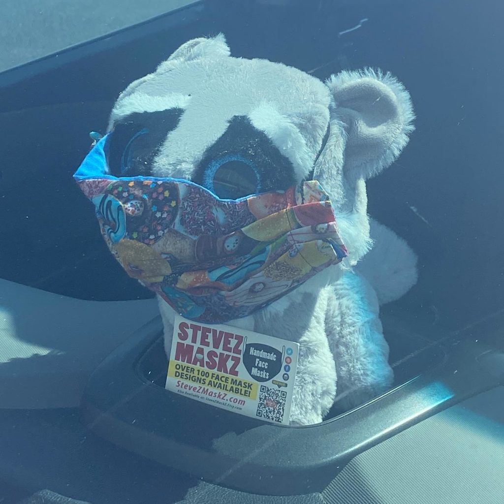 Meet All of the Lovies - These lovies, stuffed animals are the sales people for SteveZ MaskZ. When we go out and about and shopping for fabric and supplies they stay in the car with a business card and promote SteveZ MaskZ. (Meet Rosco)