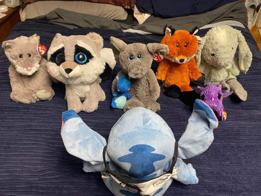 Meet All of the Lovies - These lovies, stuffed animals are the sales people for SteveZ MaskZ. When we go out and about and shopping for fabric and supplies they stay in the car with a business card and promote SteveZ MaskZ.