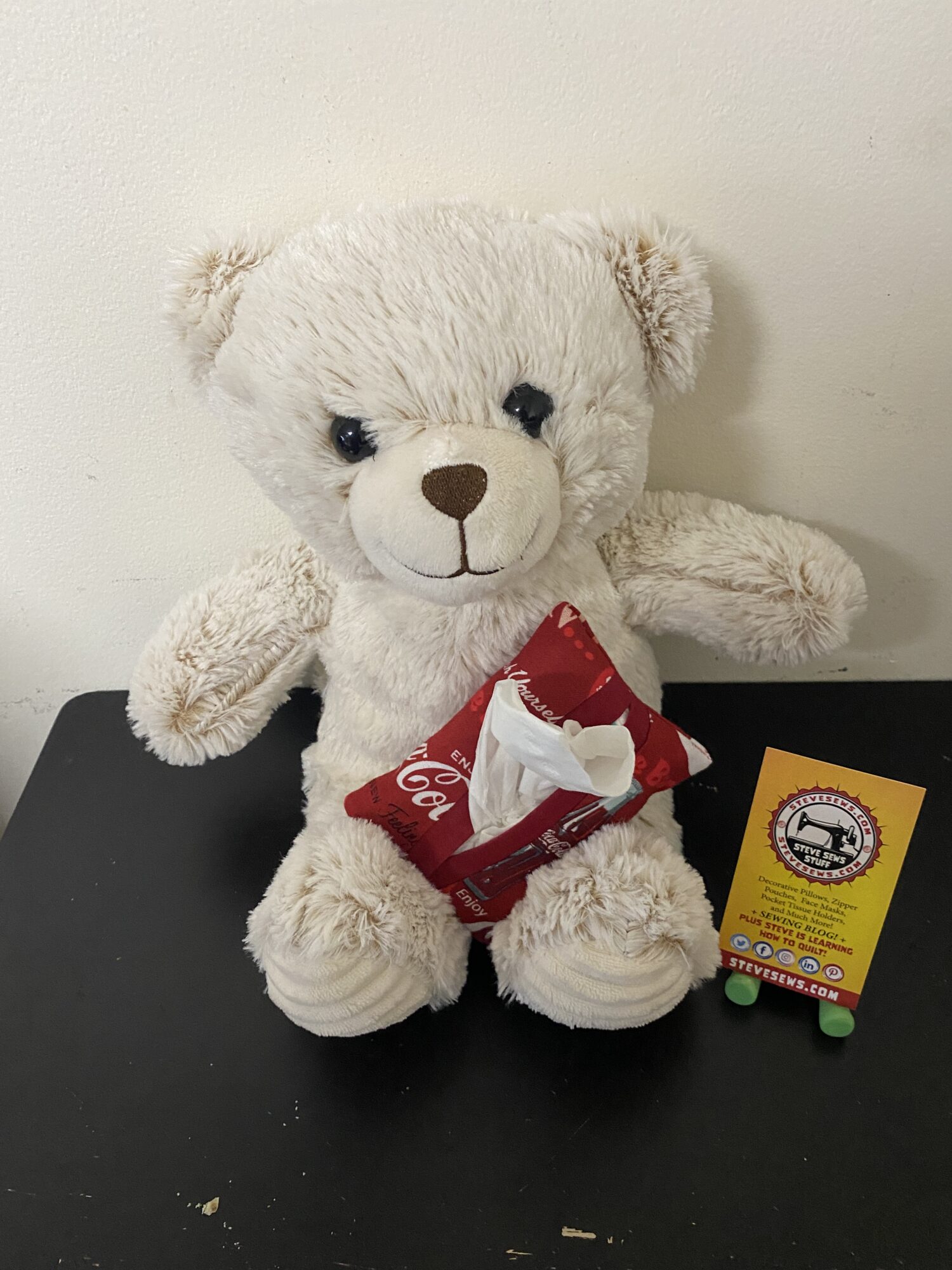 Meet Miriam Esther a teddy bear. #teddybear #bear Miriam Esther is a Co-Stratgegy Officer. (Along with Lucas) She is holding the Coke Pocket Tissue Holder – A Coke-themed pocket tissue holder. #Coke #cocacola #cokecola #cocacolalife