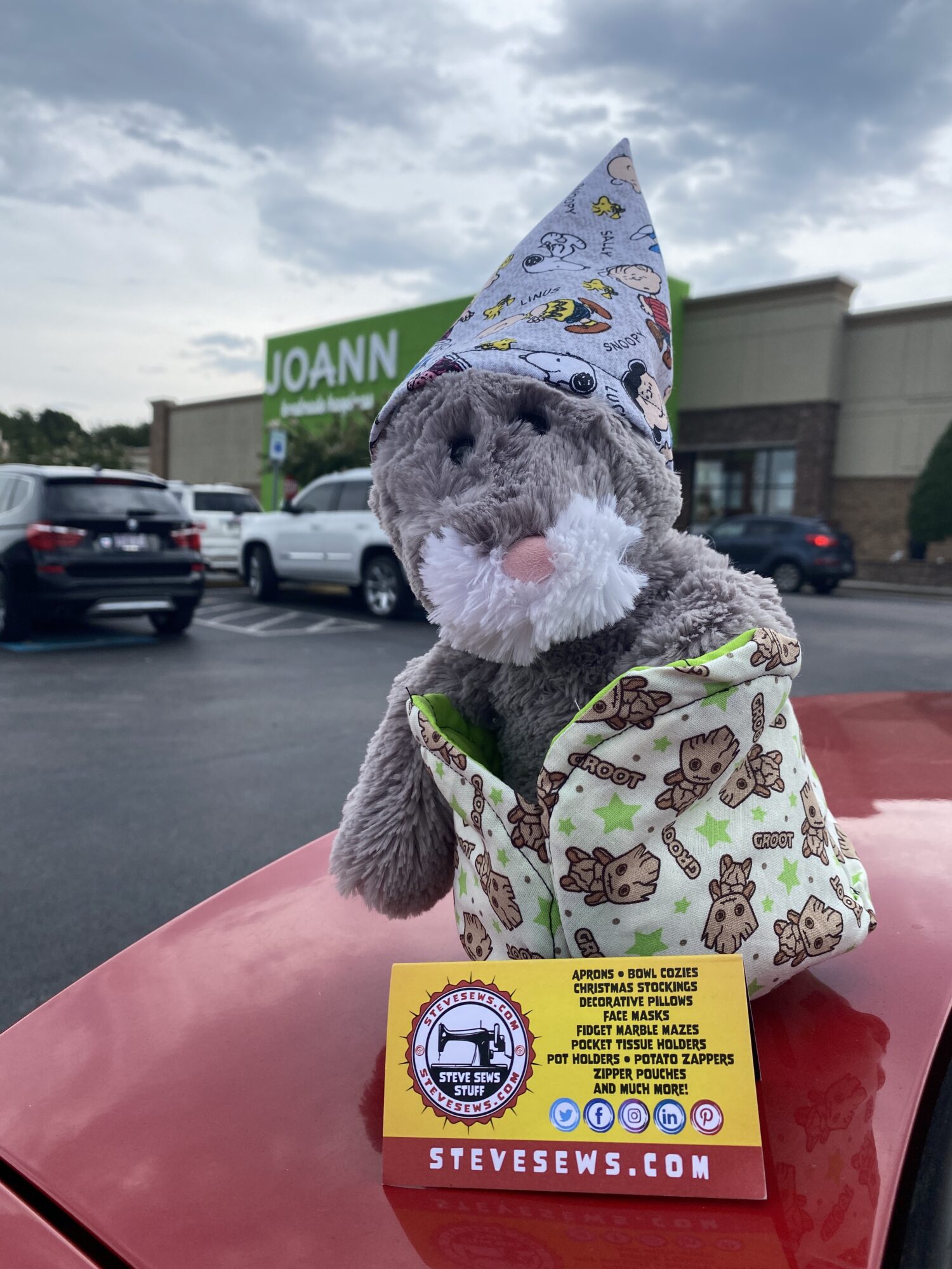 Gandalf is showing off his wizard hat and bowl cozy, served as seat for him and checking out the new huge Knoxville JoAnn’s off Morrell Drive by West Town Mall. #Knoxville #joannfabrics #gandalf JOANN Fabric and Craft Stores