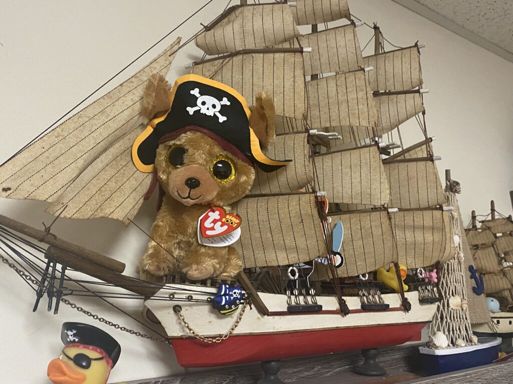 Meet Rowan, our newest lovee 
#tybeanieboo #rowan 
He is my I love you present from my wife, @hjpsnaps 
He is a plush pirate #pirate #pirates #plushpirate 