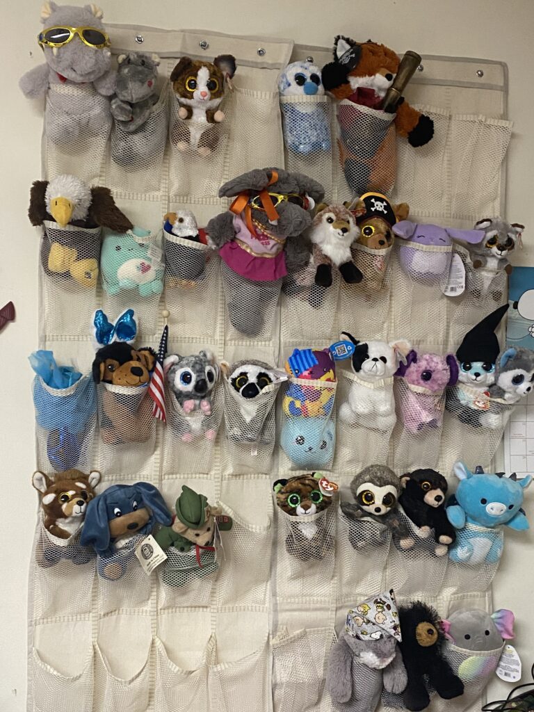 Shoe hanger to hold your stuffed animals, Ty Beanies, Webkinz, Squishmallows and more. 
