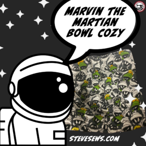Marvin the Martian Bowl Cozy