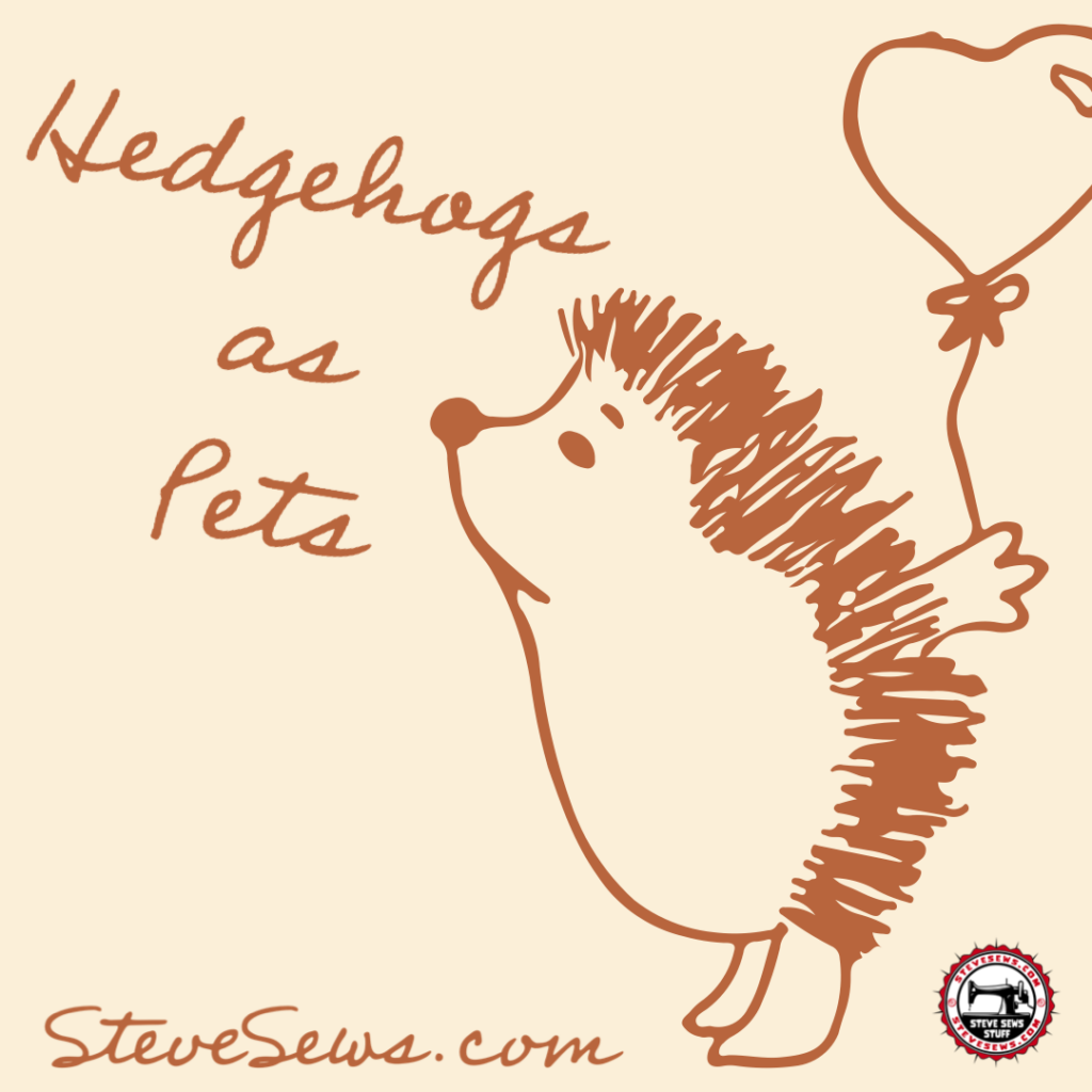 The Adorable Quillmates: Hedgehogs as Pets - Hedgehogs have captured the hearts of many animal enthusiasts worldwide with their unique appearance, charming personalities, and low-maintenance requirements. These adorable little creatures make fascinating pets, and their popularity has been on the rise in recent years. In this blog post, we'll delve into the world of hedgehogs as pets, exploring their care needs, temperament, and what makes them such endearing companions. #hedgehogs