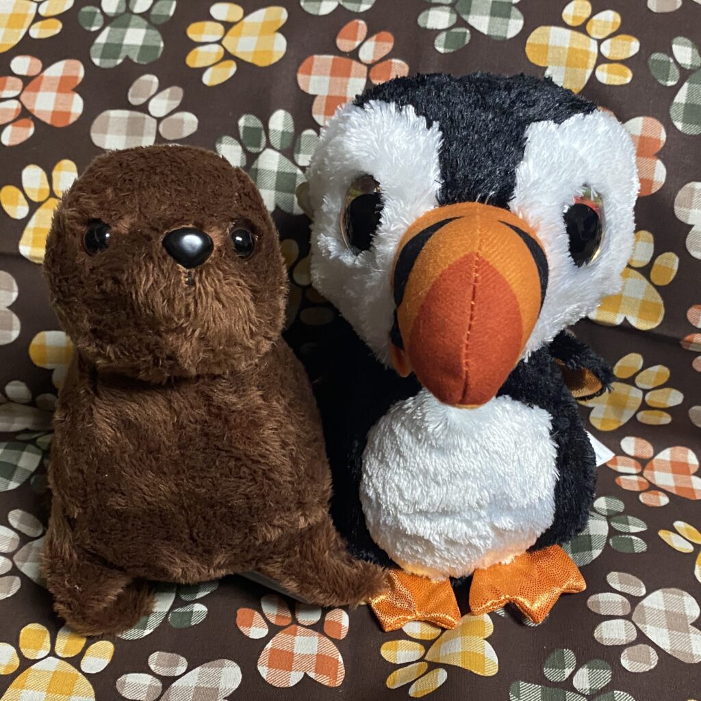 Meet Simeon (Sea Lion - Wild Republic of Republic Rescue Series) and Lunni (Tuscan - Lumo Stars) our newest employees. They will work as our Executive Recruiters, recruiting other Lovees and Interns to Join SteveSews.com