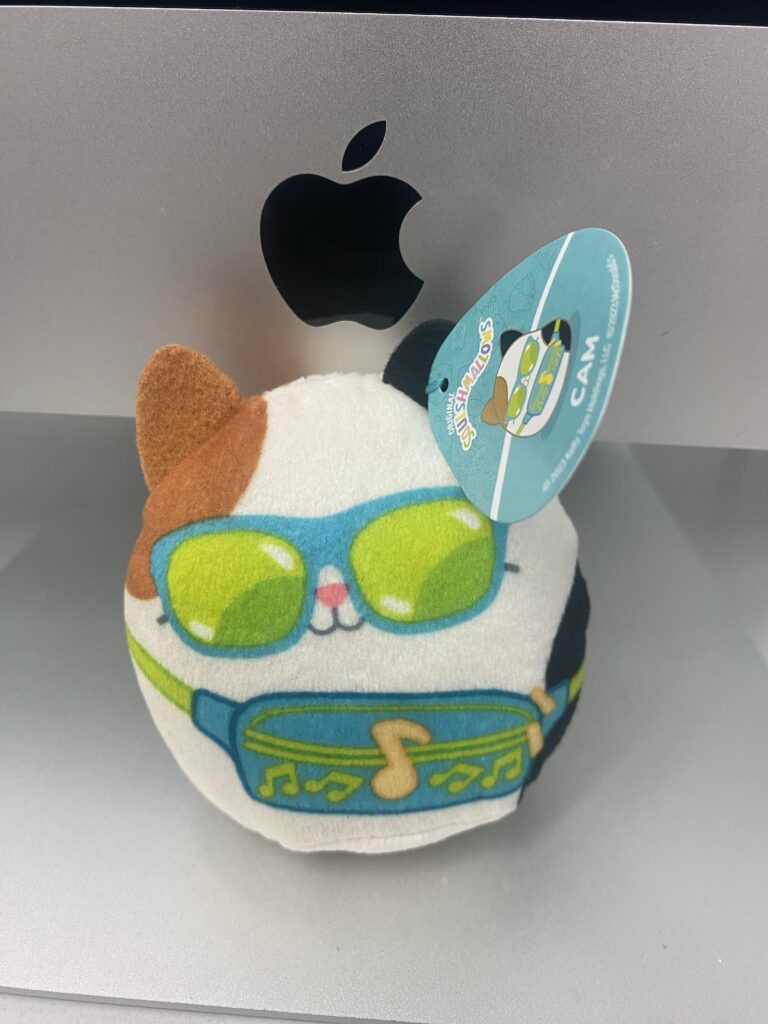 Cam McDonald’s Squishmallow’s Happy Meal (January 5, 2024 - other Greeneville, TN location)​