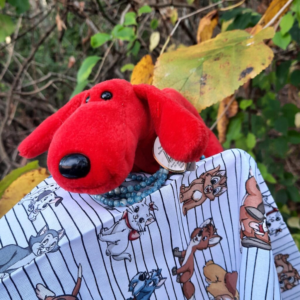 Meet Rover he is new to the SteveSews.com team. He was a Ty Beanie from my mom. Now that she passed away he has a home with us. #Rover #tybeaniebabies He is an original Ty Beanie Baby. Plus he is showing off the Disney Cats and Dogs fabric. 